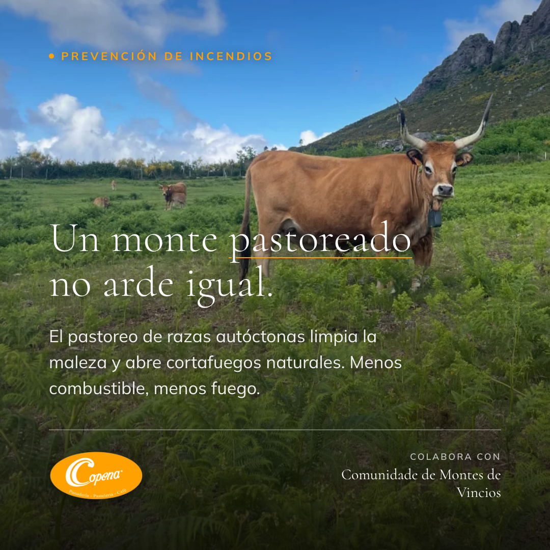 Un monte pastoreado no arde igual