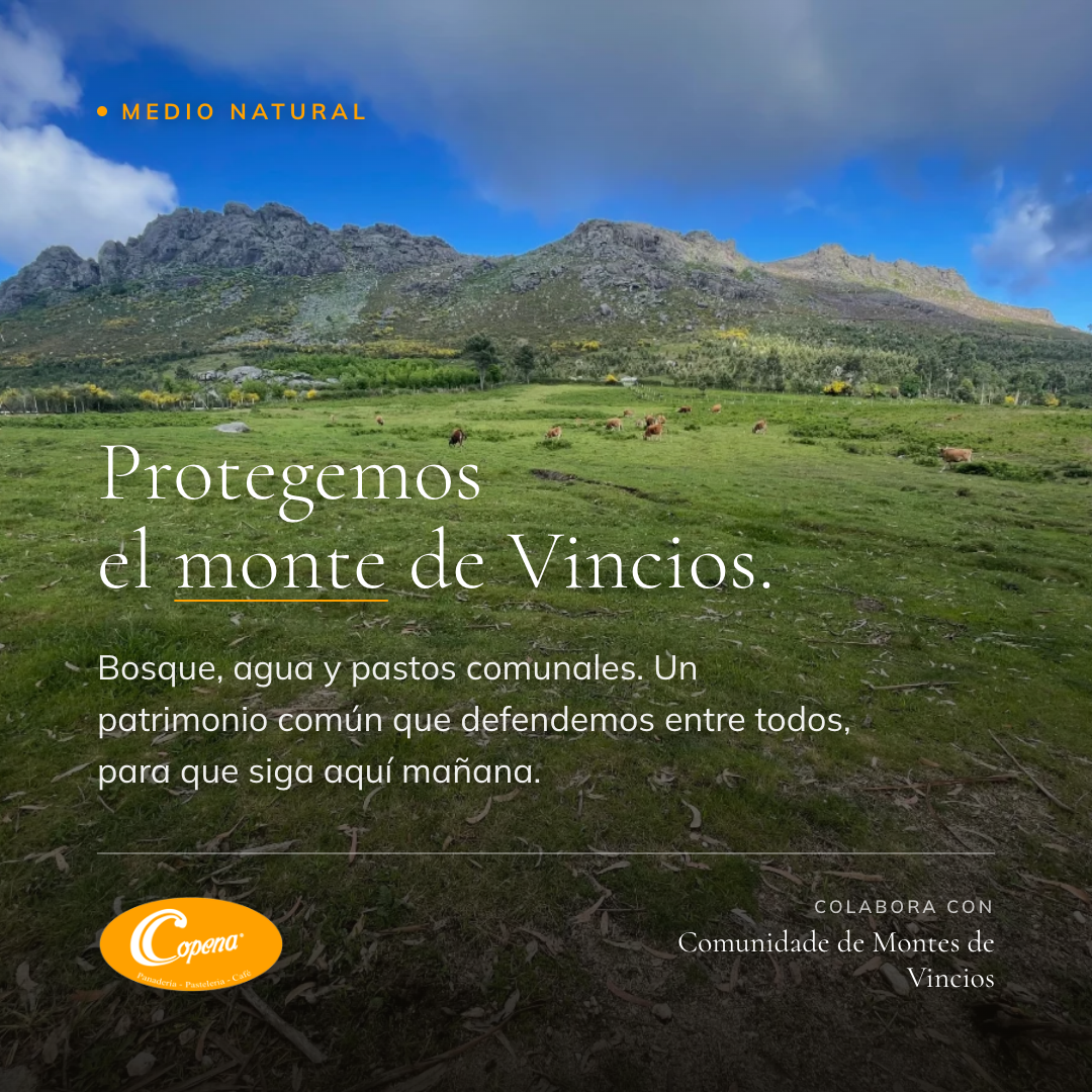Protegemos el monte de Vincios