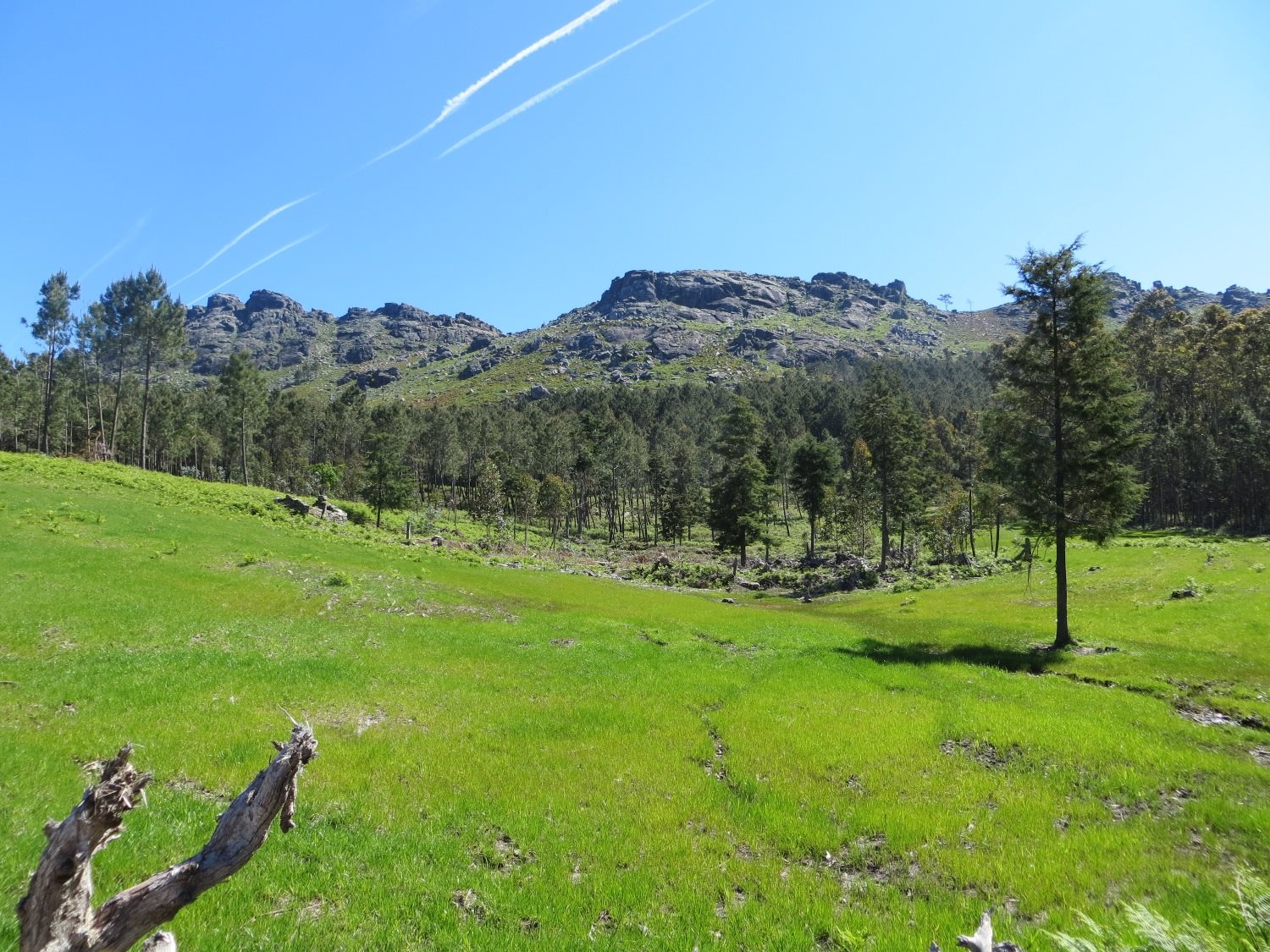 Vista panorámica do Monte de Vincios