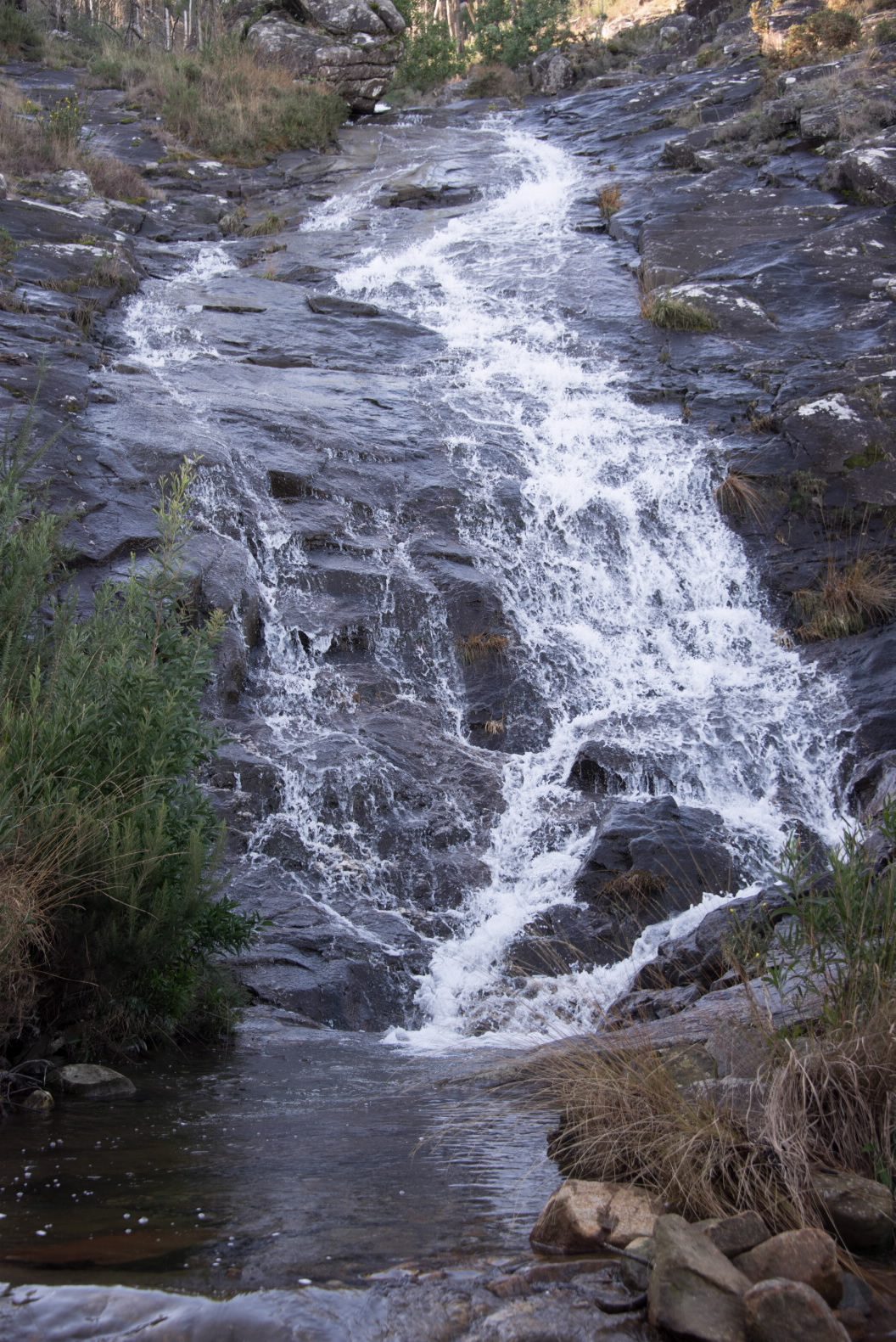 Os Padróns - Fervenza de Zamáns
